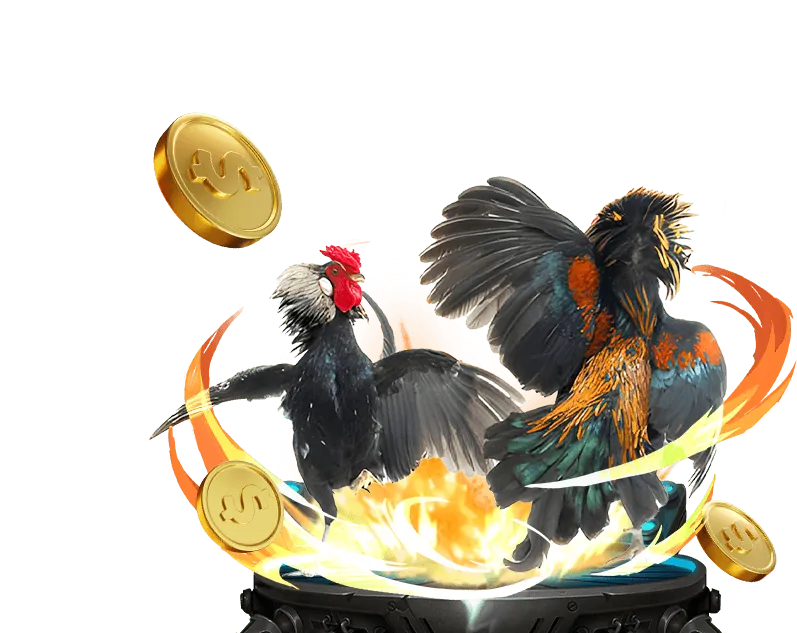 Đá Gà Trực Tiếp 9bet Link