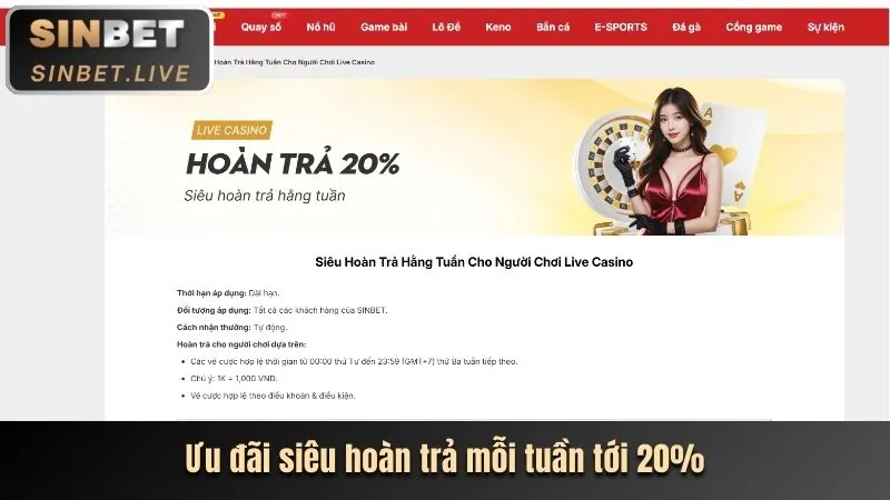 Hoàn trả casino 9bet link